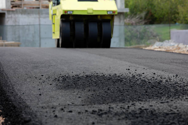 Best Custom Driveway Pavers  in Pocono Woodland Lakes, PA