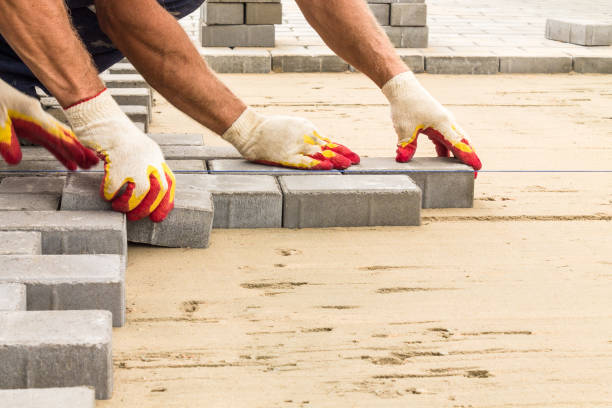 Best Residential Driveway Paver Services  in Pocono Woodland Lakes, PA