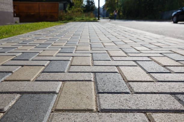 Best Driveway Pavers Near Me  in Pocono Woodland Lakes, PA